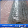 2X2 Galvanized Welded Wire Mesh Panel for Sale